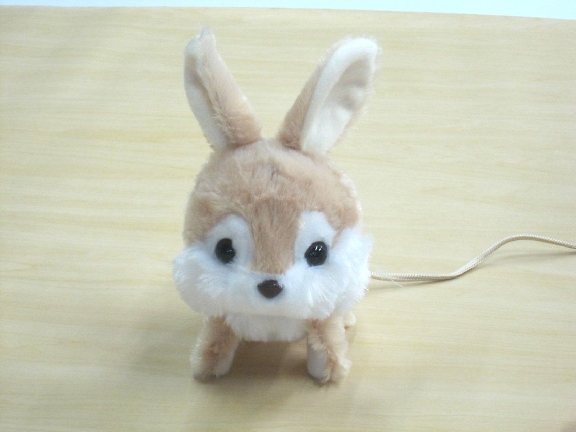 リモコンでおさんぽ ピョンピョンロッピー