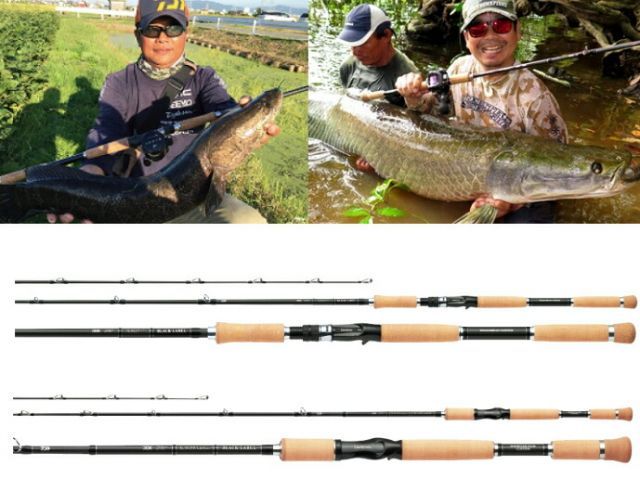 ダイワ ブラックレーベル XP エクスペディション 64H-3 / 釣具