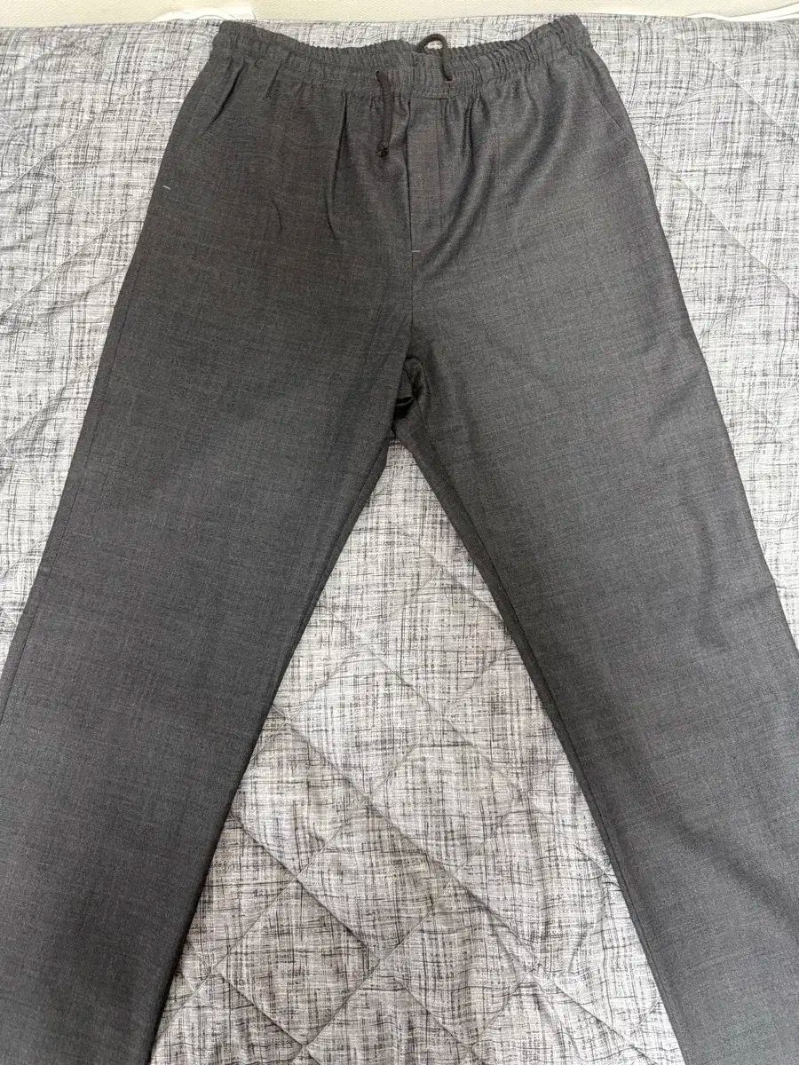 パロモール no1808 Rene