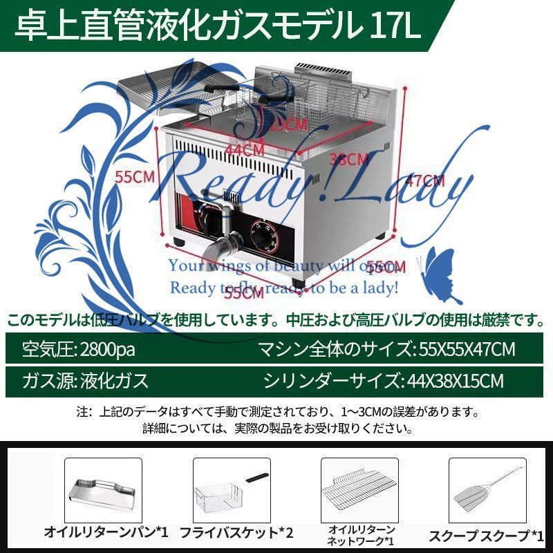 バスケットと蓋付業務用家庭用キッチン用金属管付きステンレス鋼カウンタートッププロパン