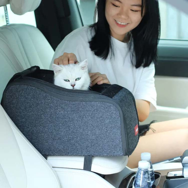 猫用