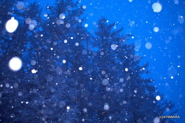 おしゃれ 壁掛け