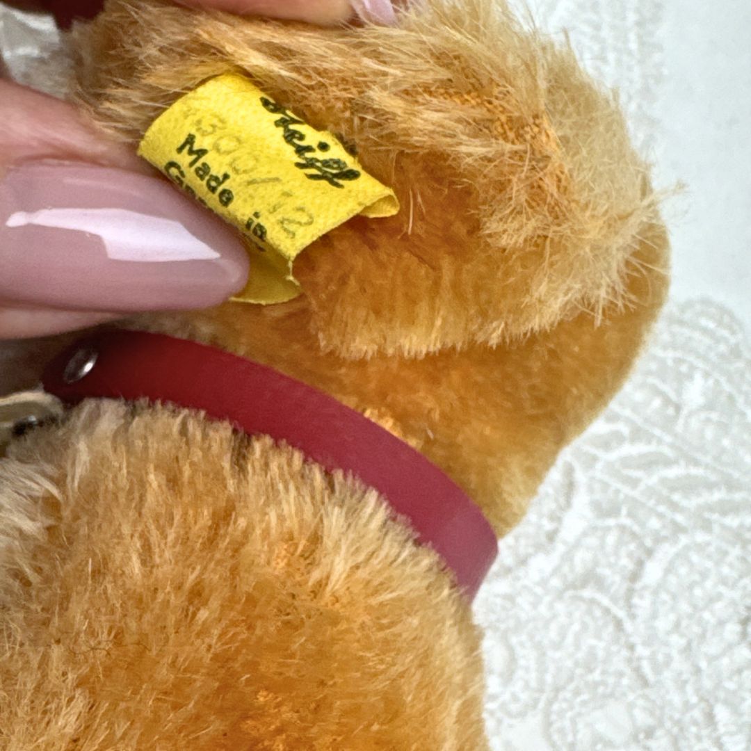 シュタイフ★Revue Susi 12cm★コッカースパニエルのスージー/犬 シュタイフ☆Revue Susi 12cm☆コッカースパニエルのスージー/犬
