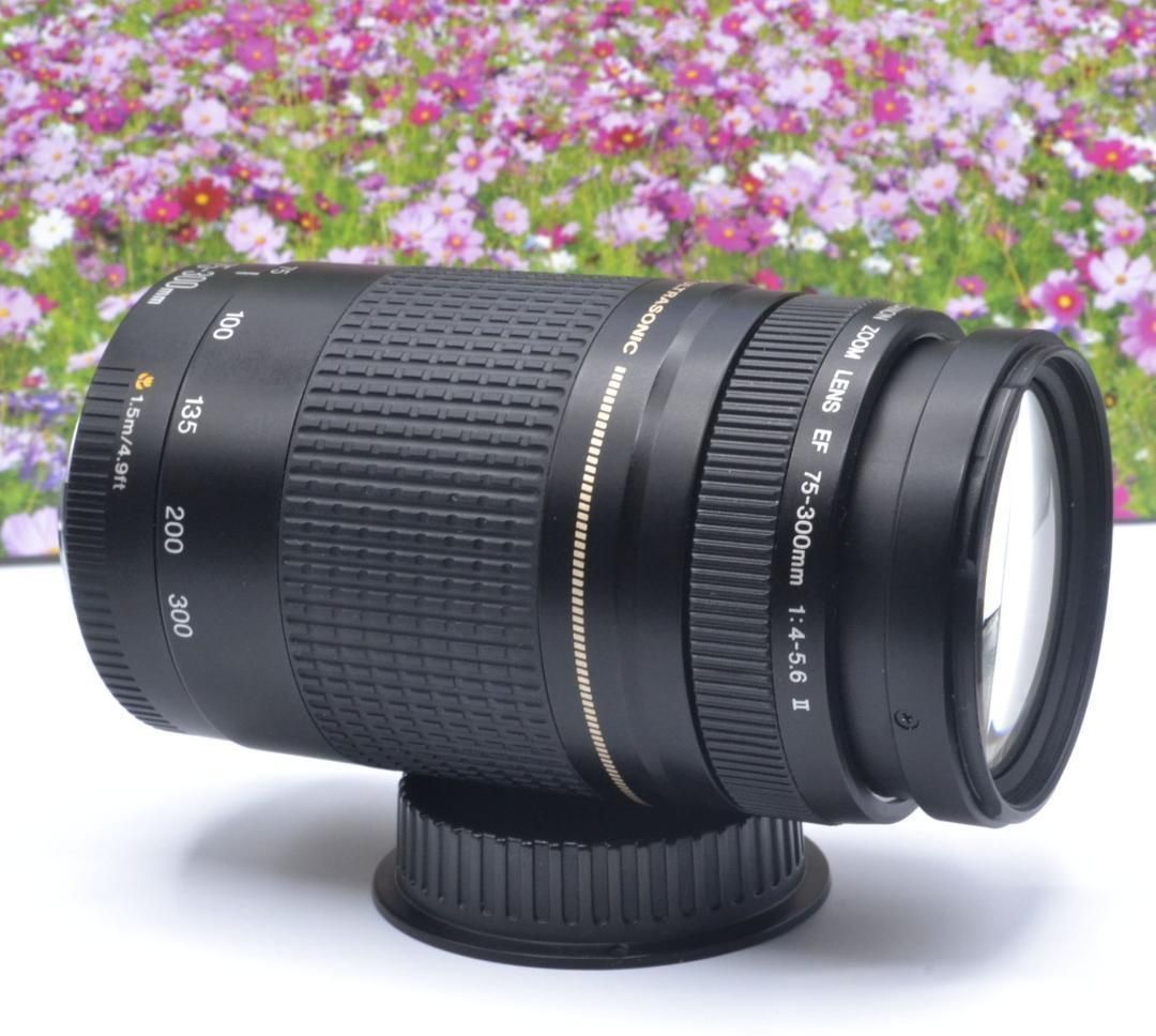 心躍る瞬間を望遠で！Canon キヤノン 望遠レンズ 迫力の75-300mm