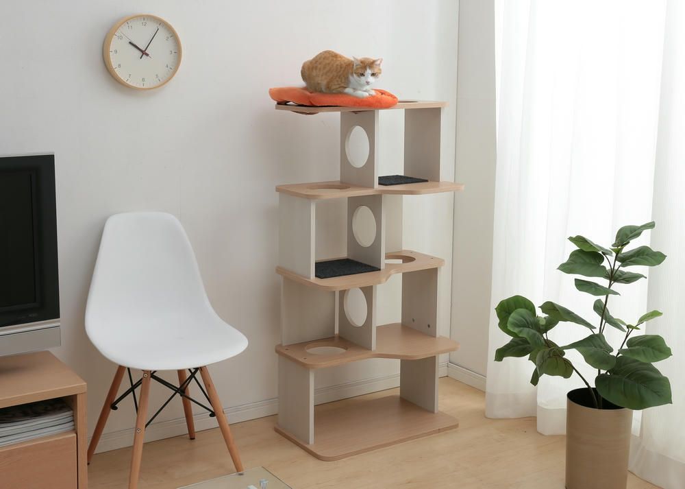 ステップ 室内猫用