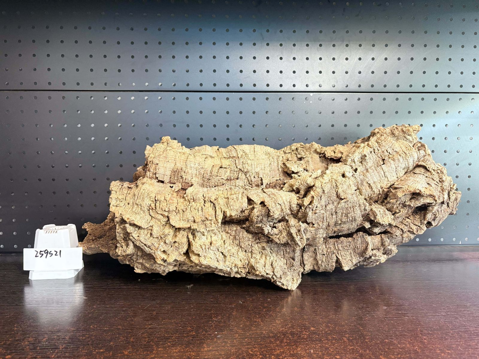 259S21 ポルトガル産 キャノンコルク コルク樹皮 コルク板 バージンコルク 送料無料 チランジア ビカクシダ 着生ラン 両生類 爬虫類