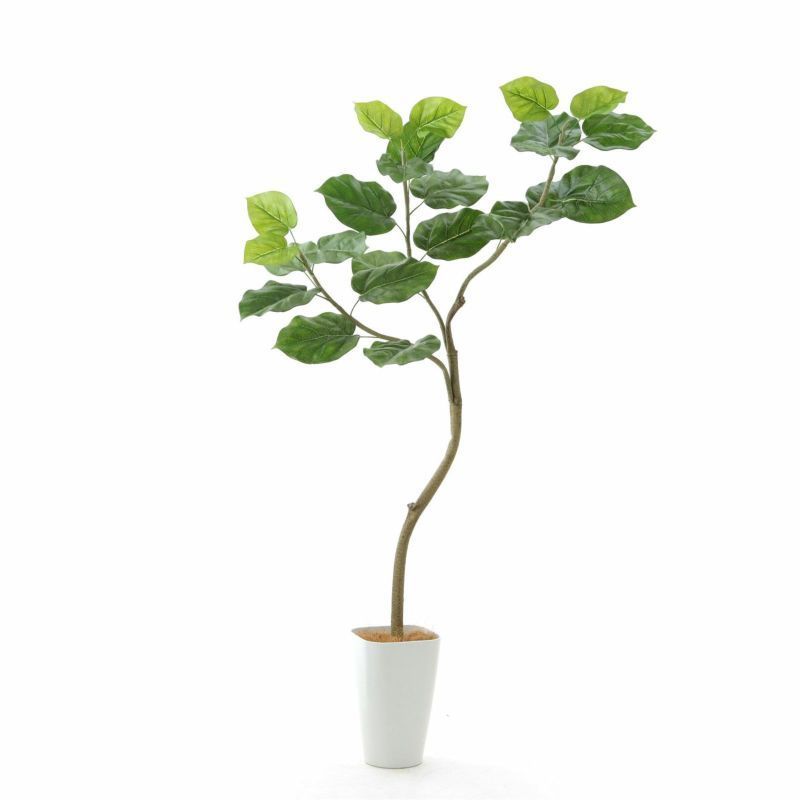 光触媒フェイクグリーン フィカス