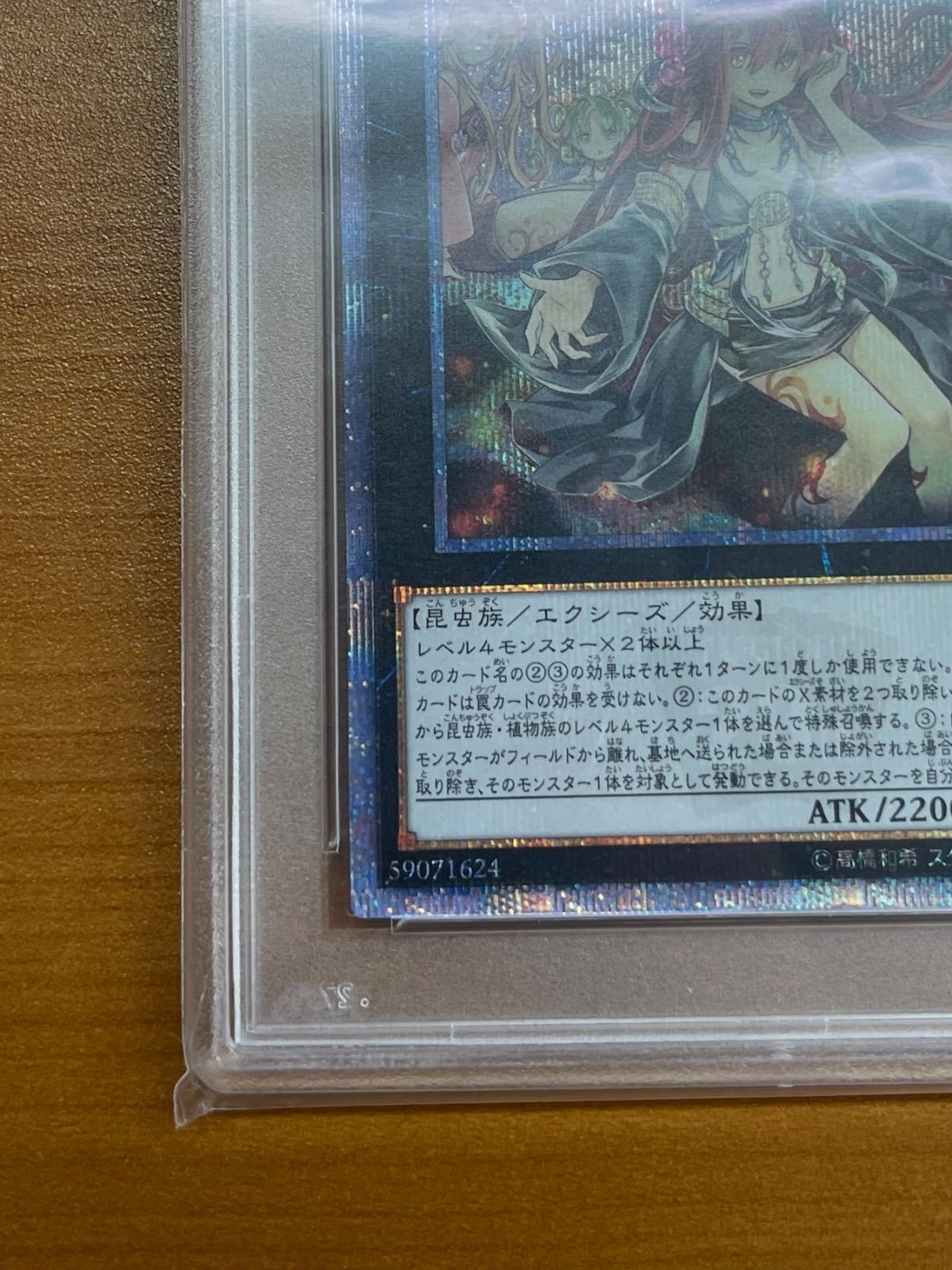 PSA10 鑑定品☆アロメルスの蟲惑魔 20th ETCO-JP045 ☆遊戯王