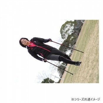 DFP プログレッシブズーム