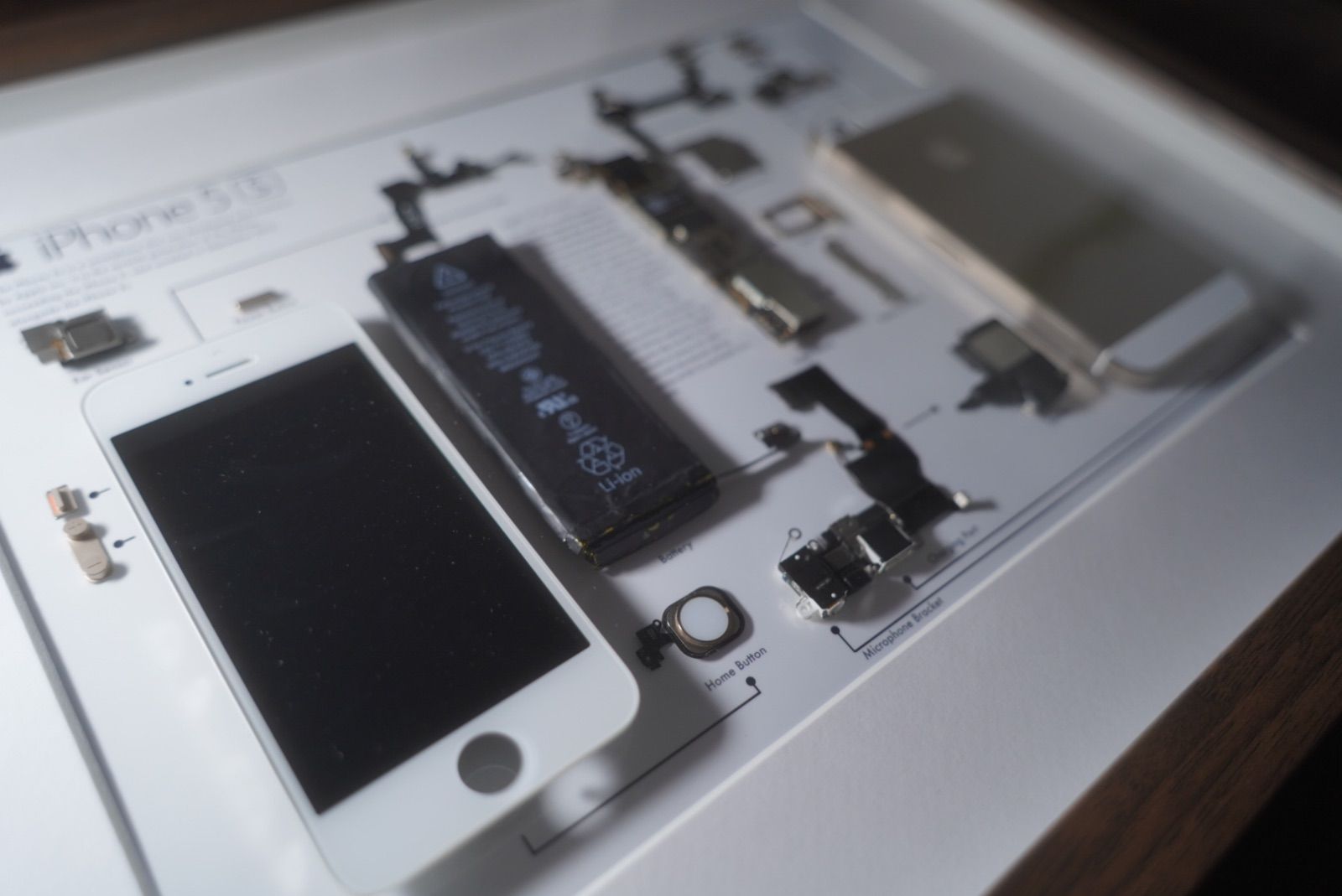 iPhone5s 分解アート 標本アート 一点もの iPhone 5s Black 分解アート