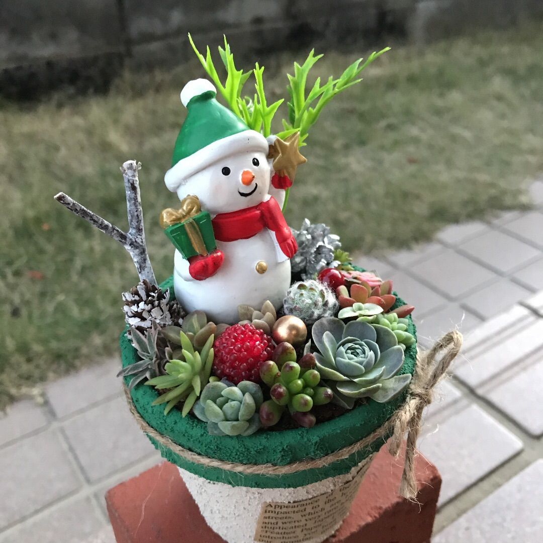 ♡そのまま飾れる♡リメ鉢♬Xmas☆雪だるまの多肉植物寄せ植え♡ - メルカリ