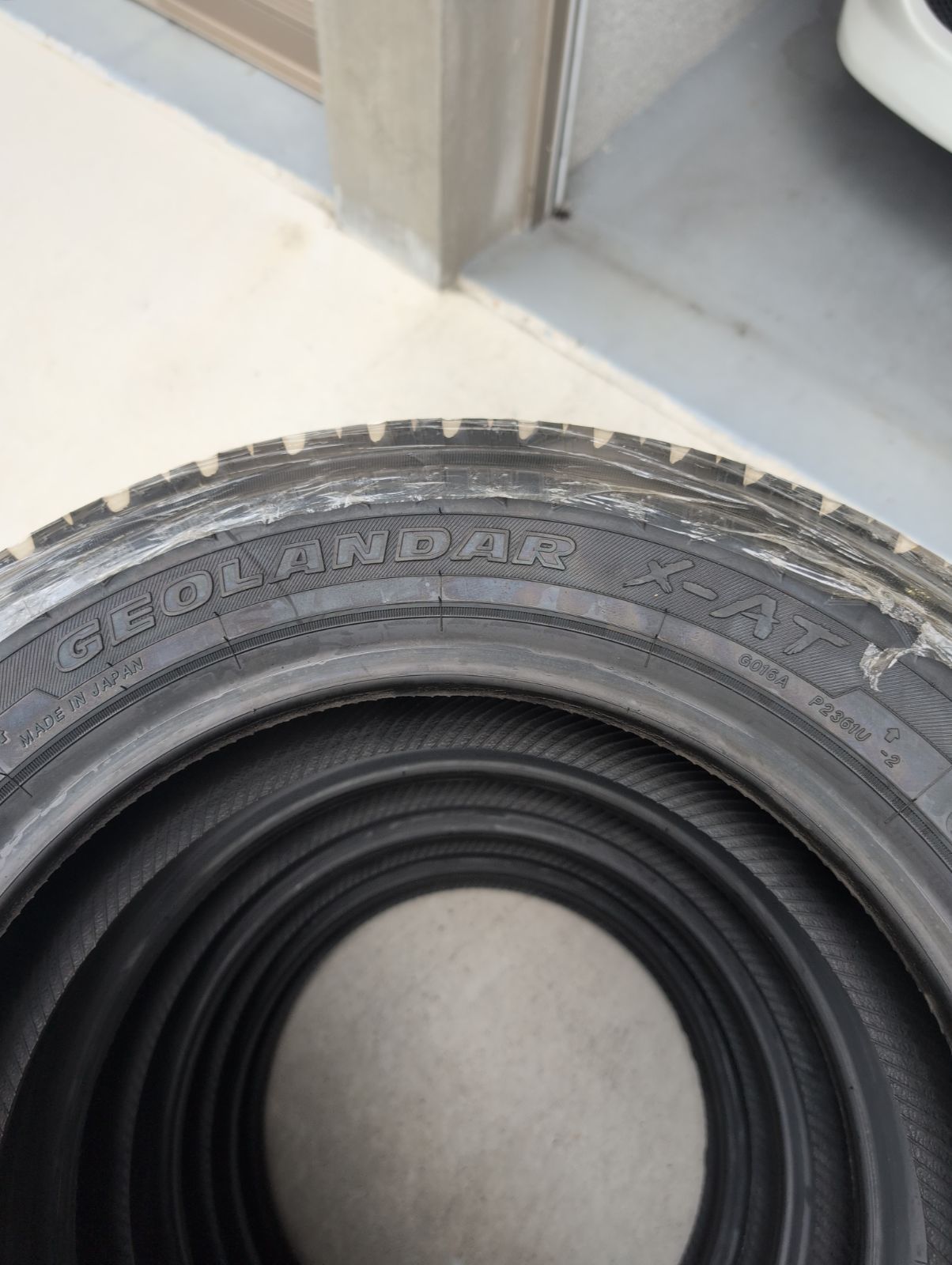 ヨコハマ ジオランダー