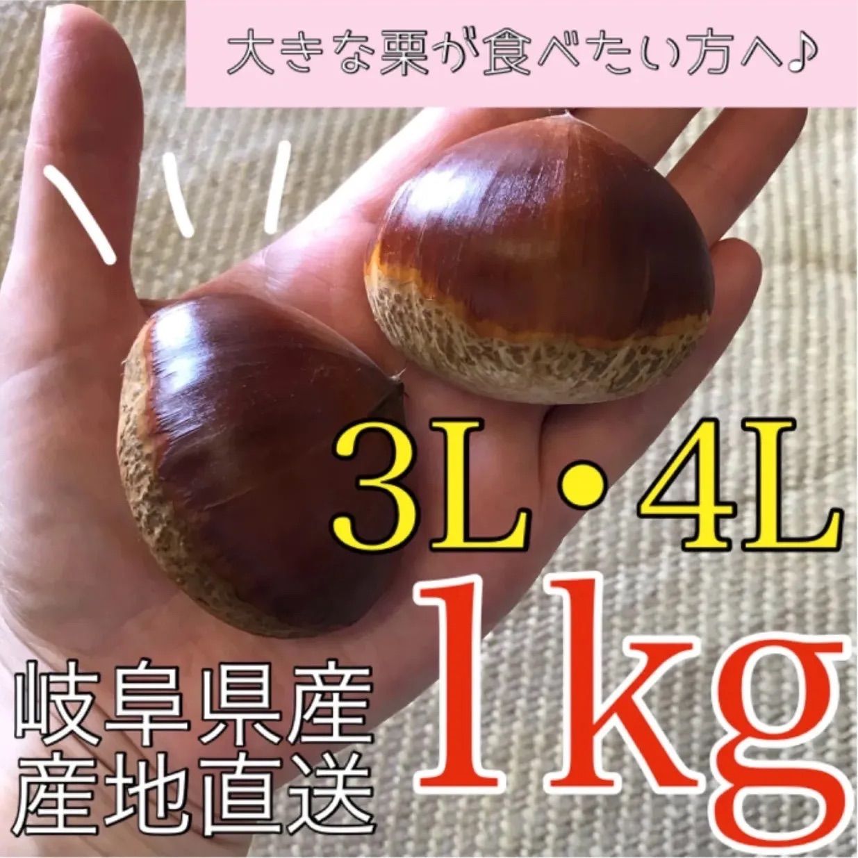 終了しました】☆特大！3L/4L 生栗1kg☆岐阜県産 品種/サイズ混合 送料