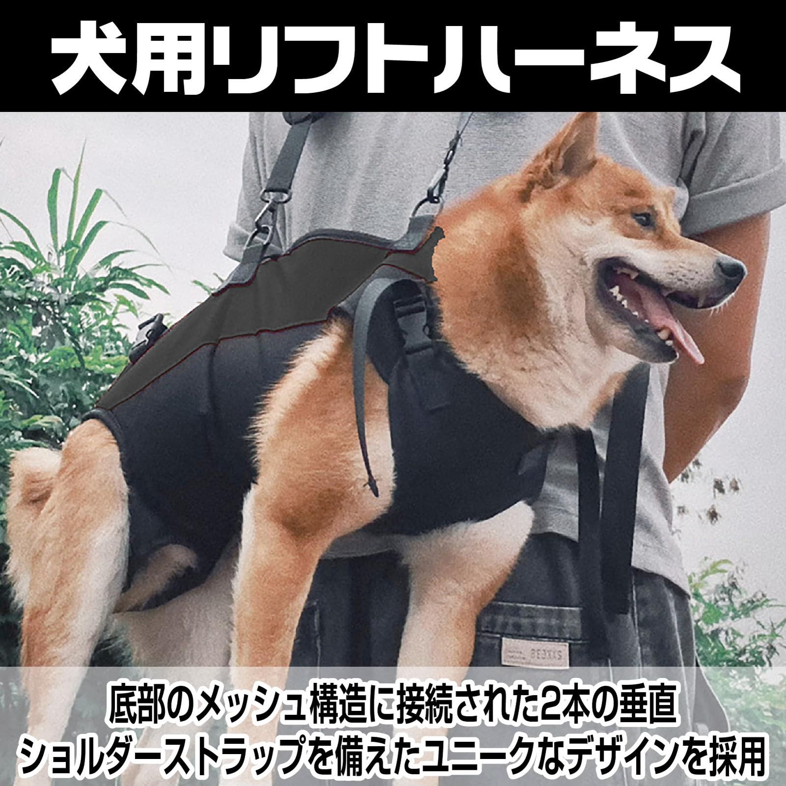 通気性 高齢犬