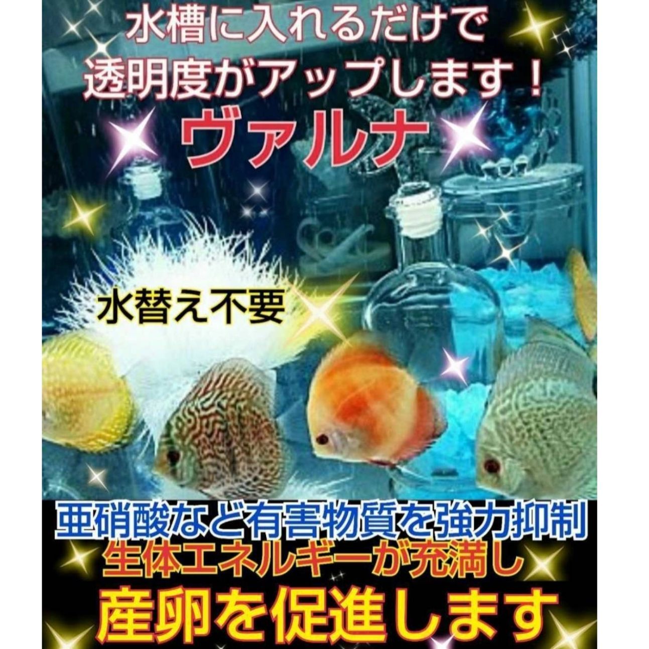 水槽の水が綺麗になります【ヴァルナミニ23㎝】水替え不要で透明度を抜群に保ちます！有害物質や病原菌も強力抑制！魚が元気に長生きします - メルカリ