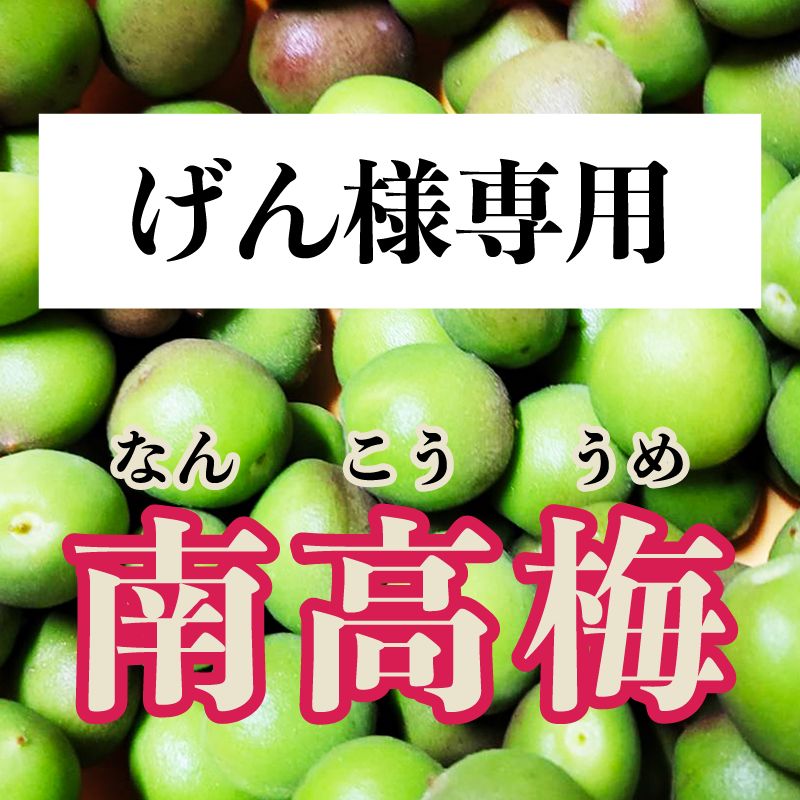 げん様 紀州南高梅