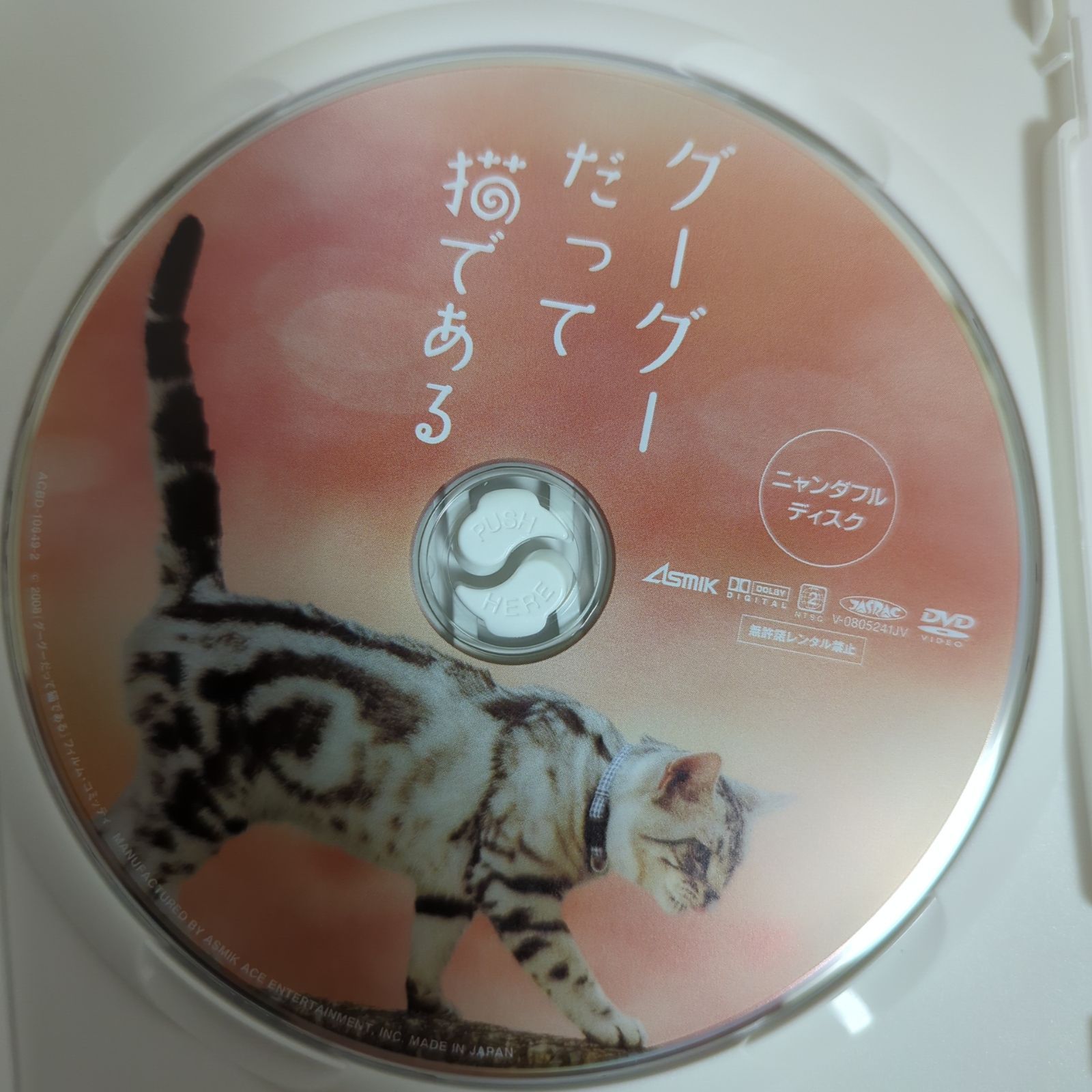 DVD/グーグーだって猫である ニャンダフル・ディスク付き