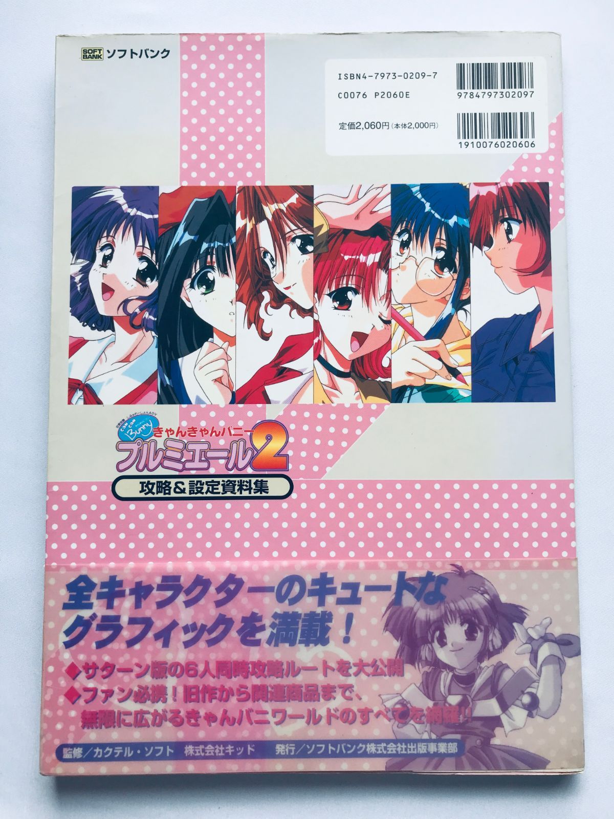 きゃんきゃんバニー プルミエール2 攻略＆設定資料集 帯 ポスター