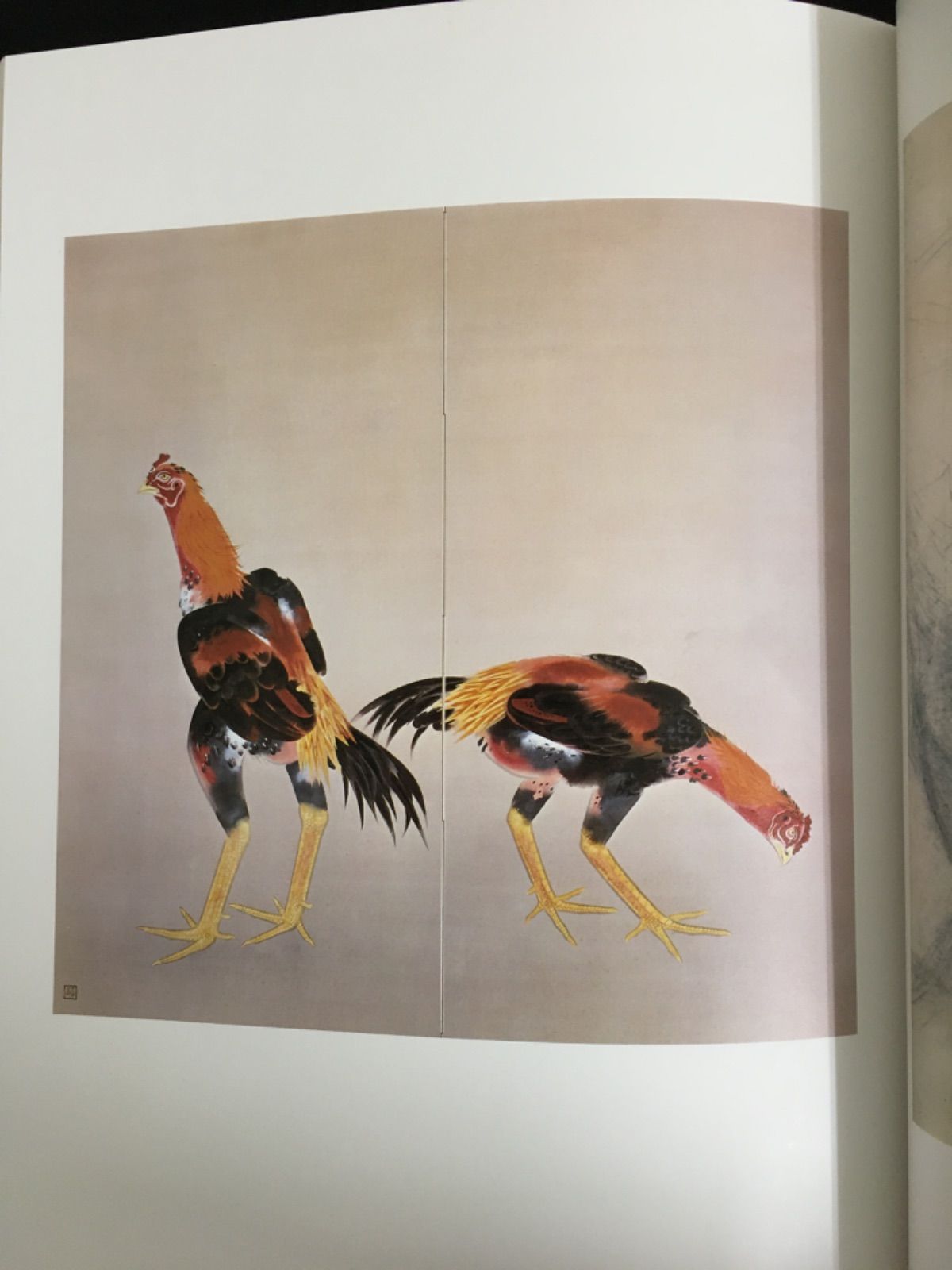 日本画素描大観七 奥村土牛 - メルカリ