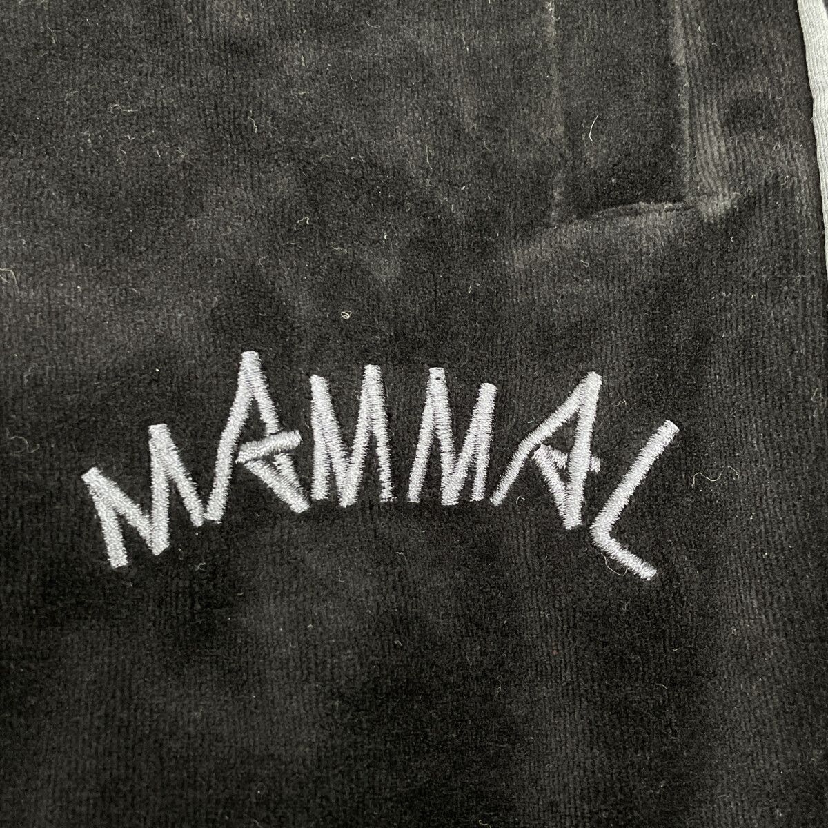 ﾍﾞﾛｱ ｼﾞｬｰｼﾞｾｯﾄｱｯﾌﾟ