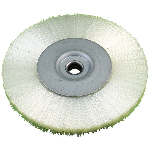 古代中国 銭貨 魚模様