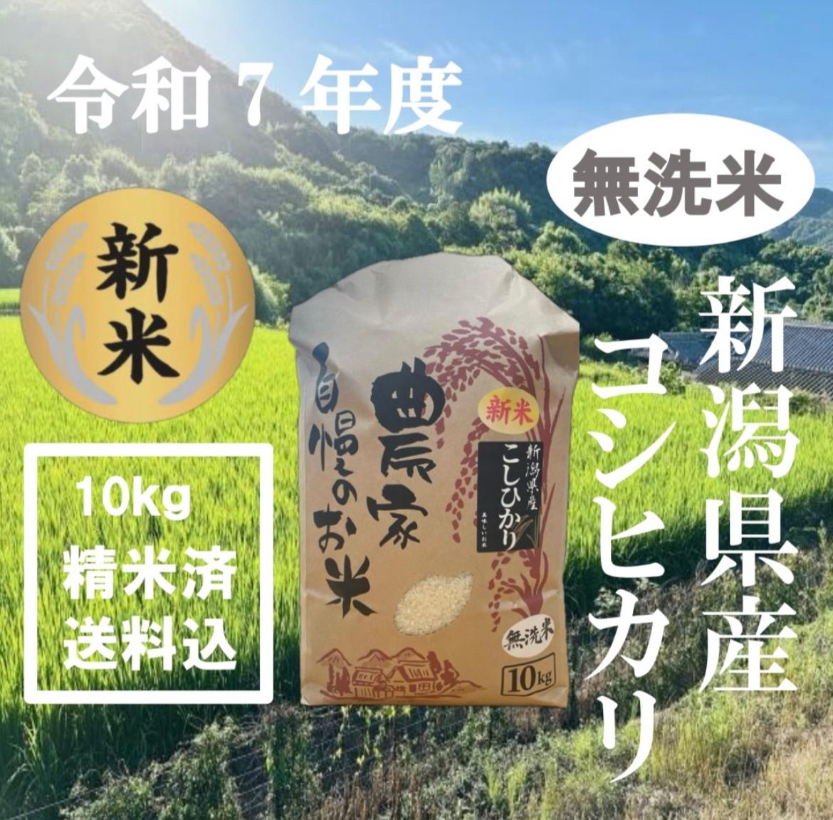 10 27 月 発送 新米 新潟県産コシヒカリ 無洗米 100％白米 精米済 10ｋｇ
