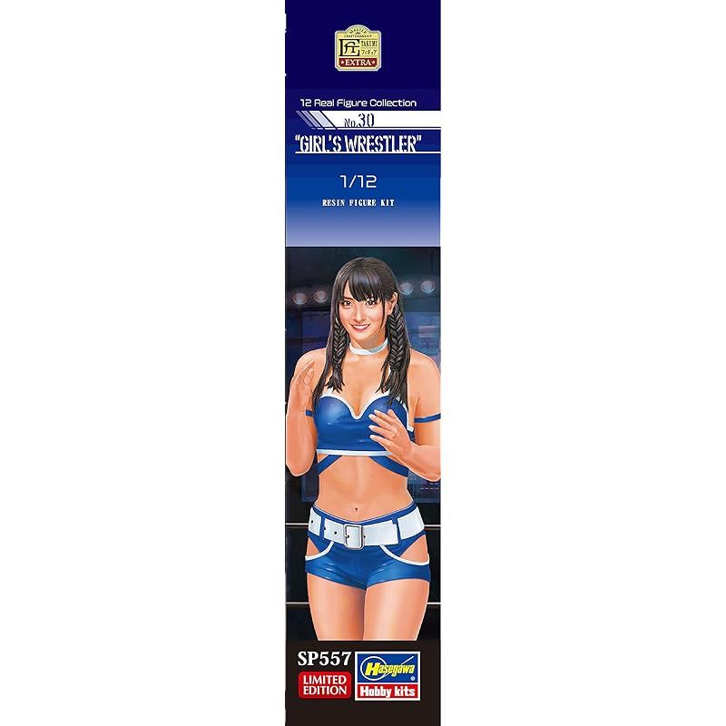 プロレスシリーズ　フィギュアセット　12体 プロレスフィギュアセット - メルカリ