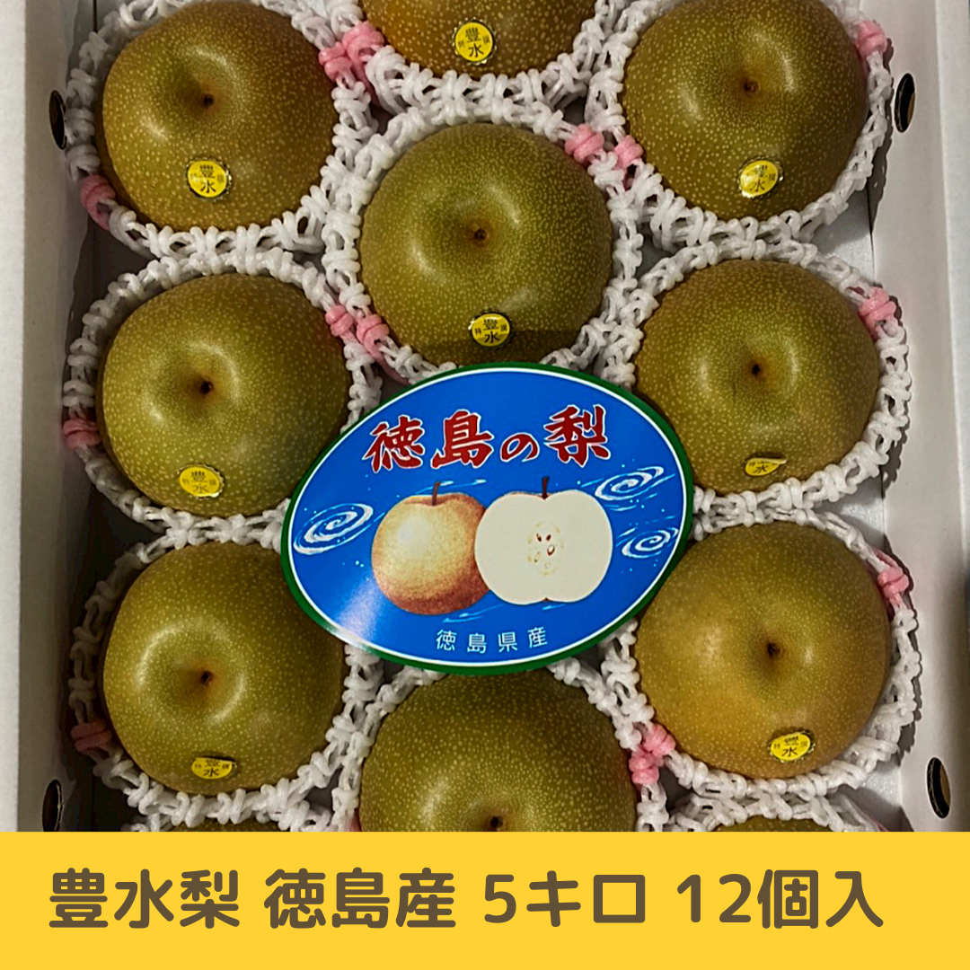 福島県産 豊水梨 梨 14玉入り家庭用 エリア限定品 食べごたえある大きめサイズ