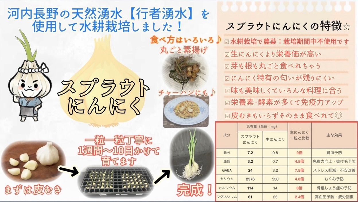 スプラウトにんにく 驚きの栄養価 発芽にんにく 30本 にんにく親方 - 野菜