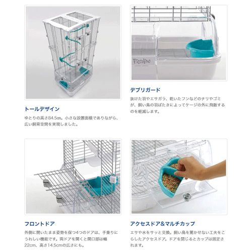 バードケージ