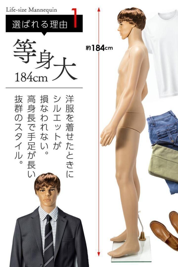 等身大 マネキン 男性 185cm カツラ&スタンド付き ディスプレイ 1748