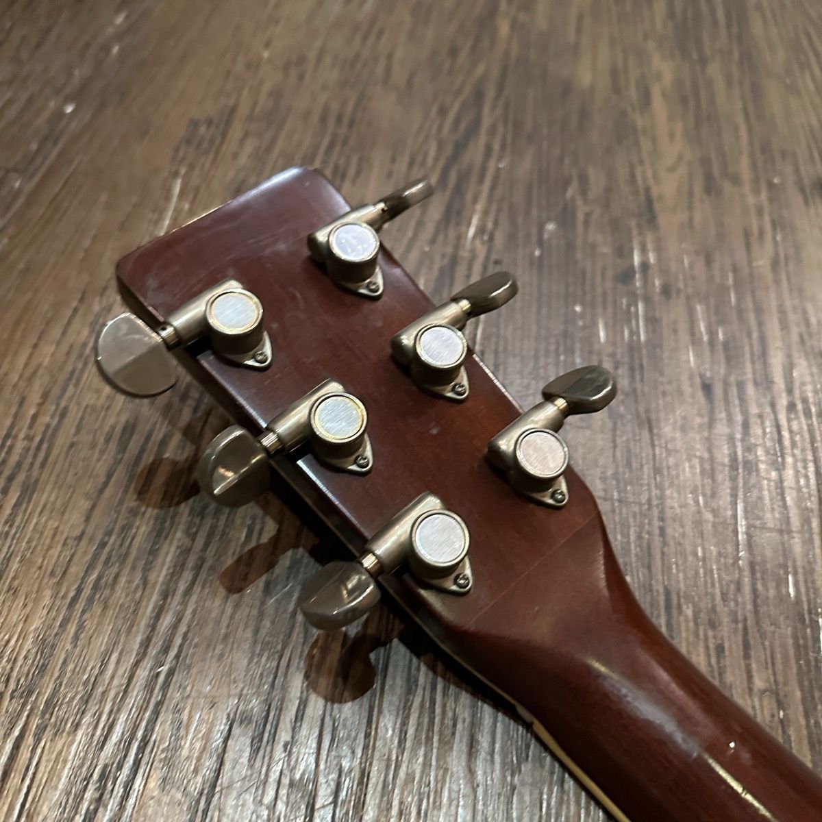 Tokai Cat's Eyes CE-300 Acoustic Guitar アコースティック