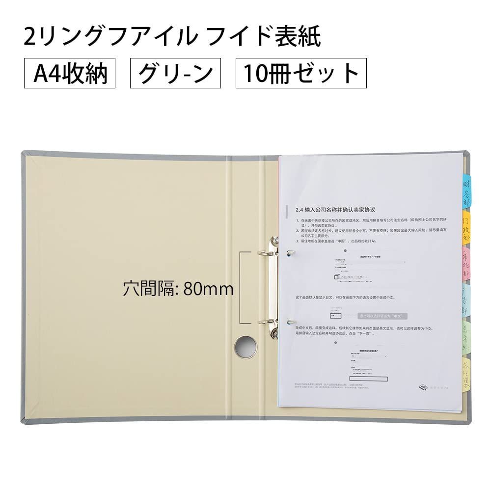 Esselte ファイル 2穴 A4サイズ用 ２種10冊