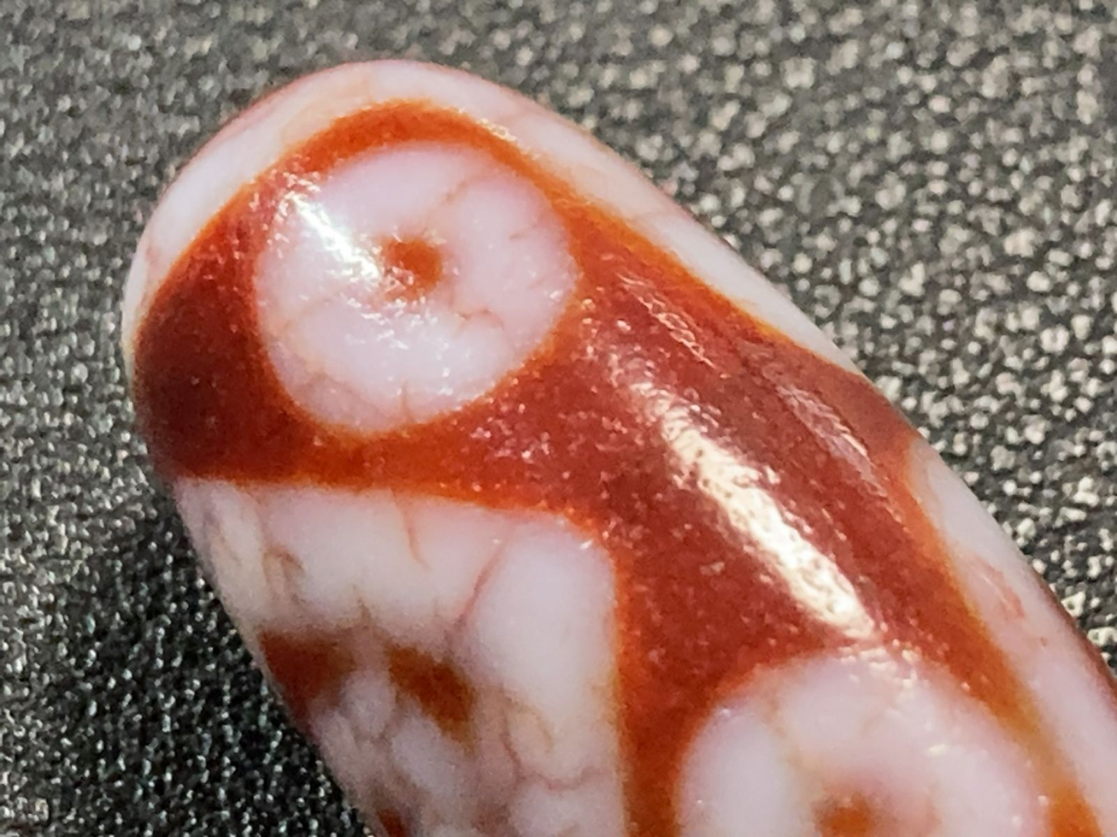 七眼天珠 特殊七眼 血糸龍紋 赤天珠 ／チベット 天