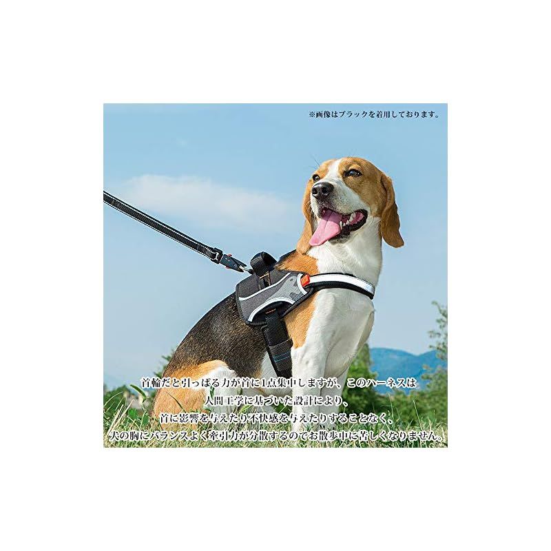 散歩用品