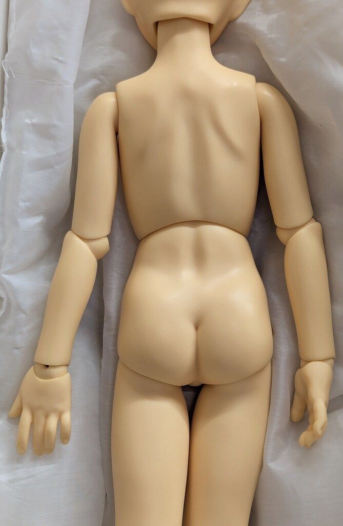 ドルパ13 アフター