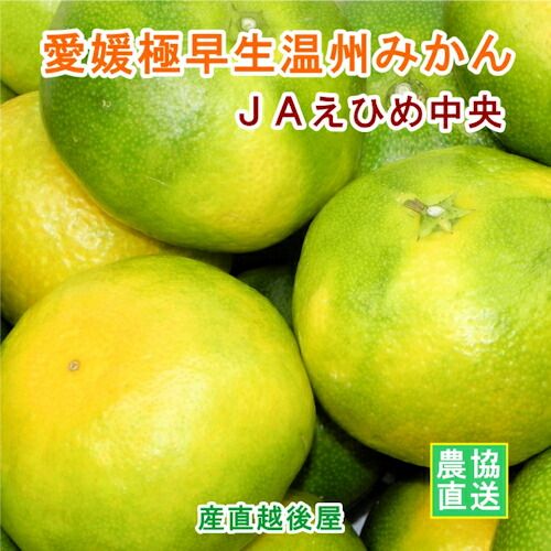 愛媛県の農協 JAえひめ中央 極早生 温州みかん 10kg 農協産地直送便でお届け 送料無料【フルーツ ギフト グルメ プレゼント】