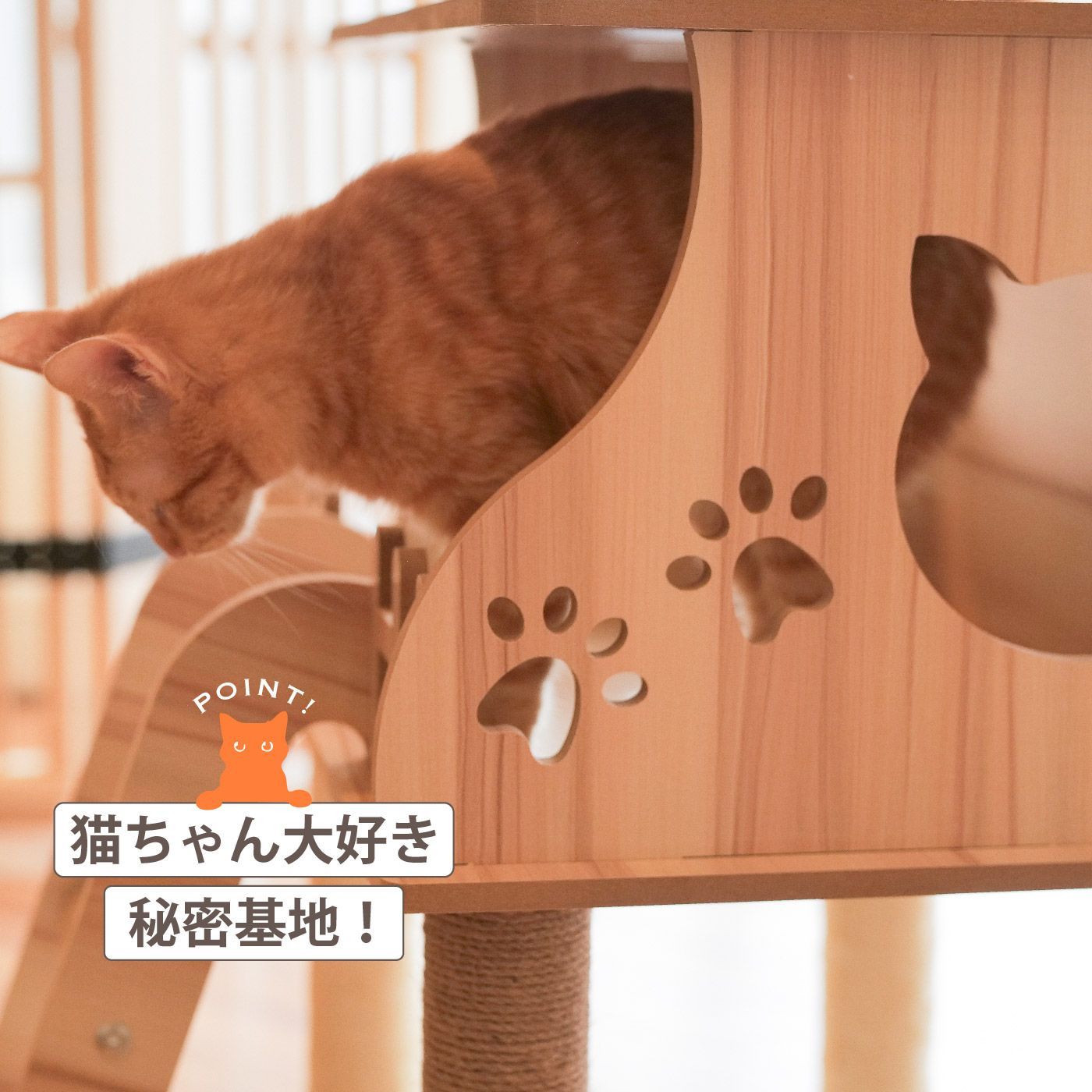 猫タワー