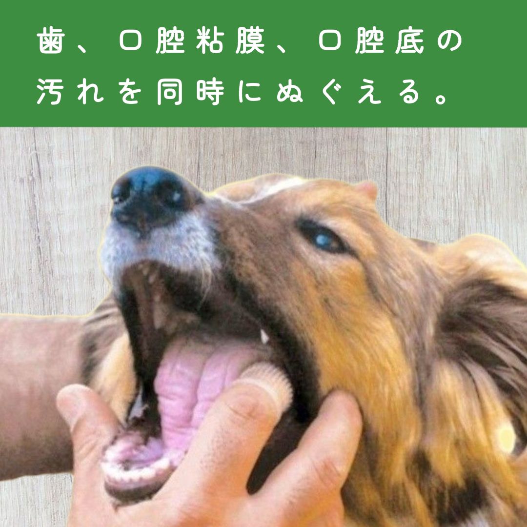 5本セット 犬用 歯ブラシ 愛犬歯磨き 愛犬デンタルケア 360