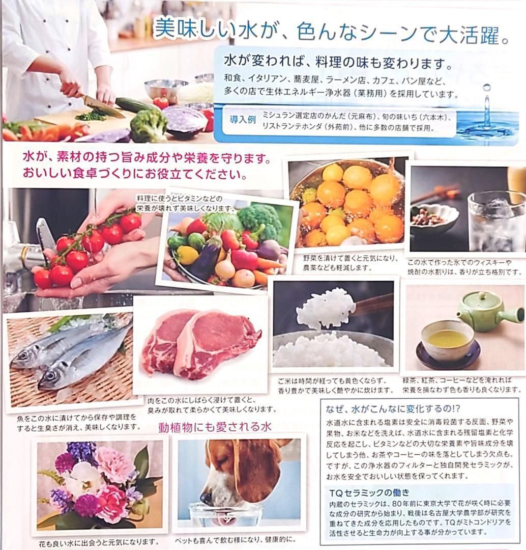TQ・生体エネルギー 浄水器 蛇口直結型（ノンレバー式）水質改善 健康
