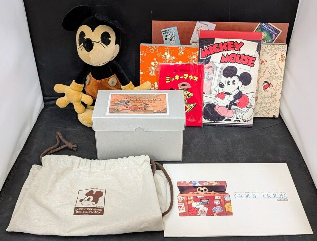 講談社 ディズニー100YEARS