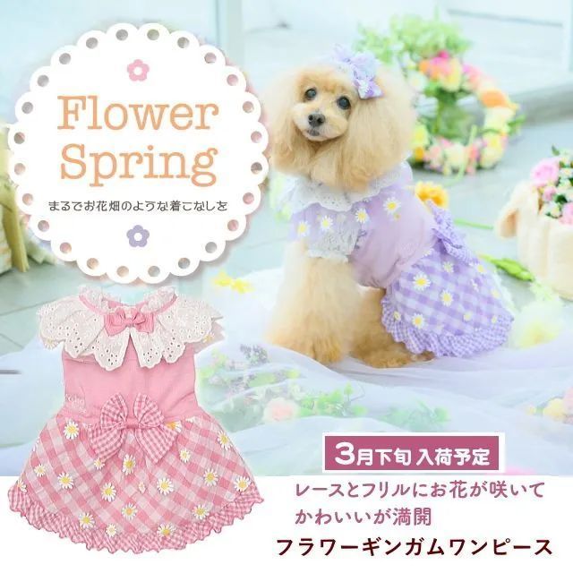 ハンドメイド オーダー受付ページ ♡カバンに入ったチワワパネル