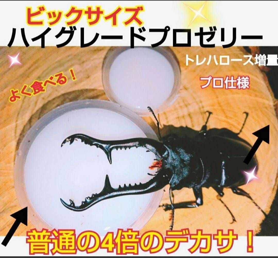 超ビッグサイズ！ハイグレードプロゼリー☆50個 普通の4倍以上のデカサ