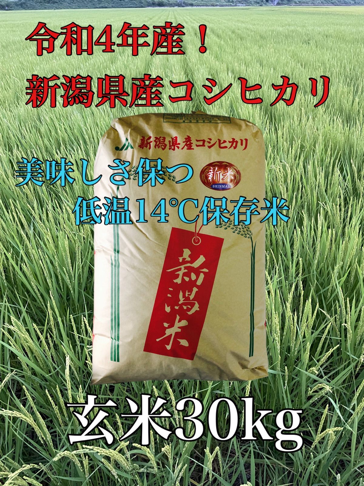 数量限定！新潟県産コシヒカリ低温保存(玄米)30k - お米屋本舗 - メルカリ