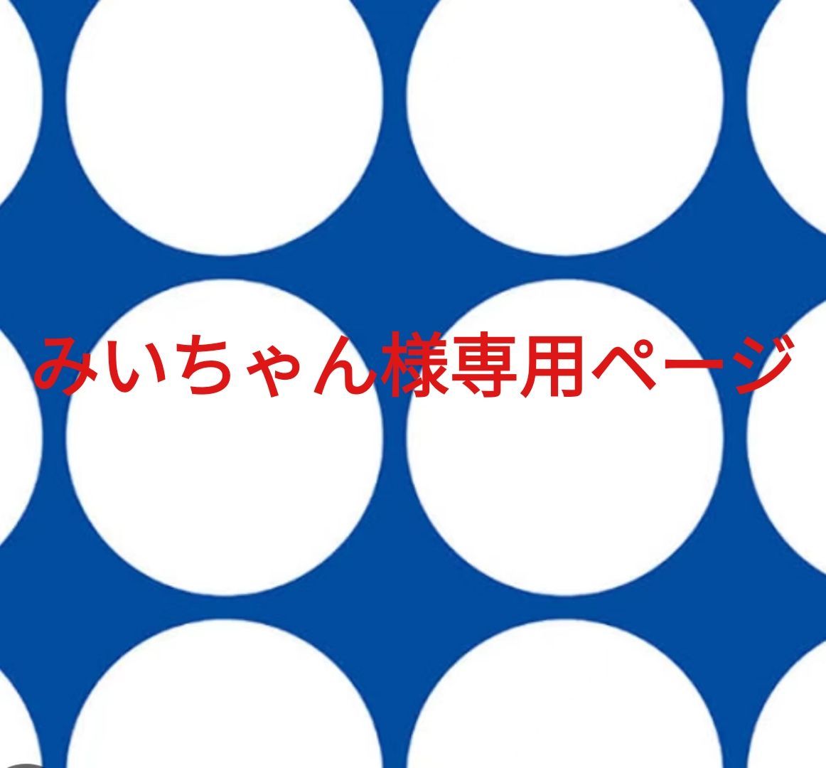 みい様 少い 専用ページです