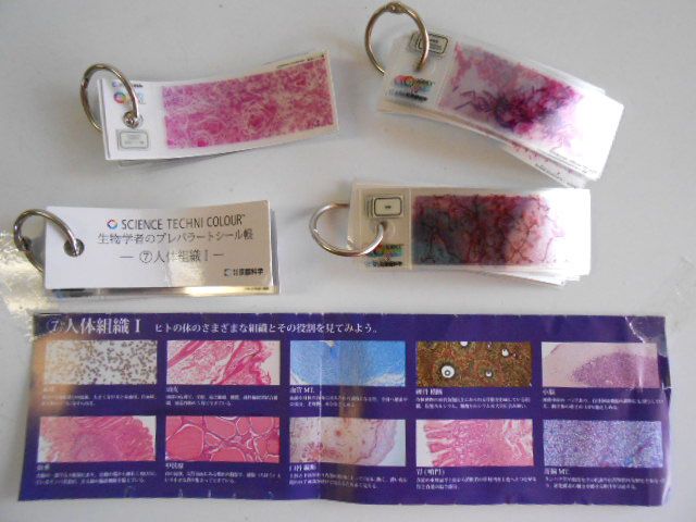 ♯Kui30Fz サイエンス テクニ 生物学者のプレパラート シール帳 全8種 生物学者のプレパラートシール帳 – ネイチャーテクニカラー公式