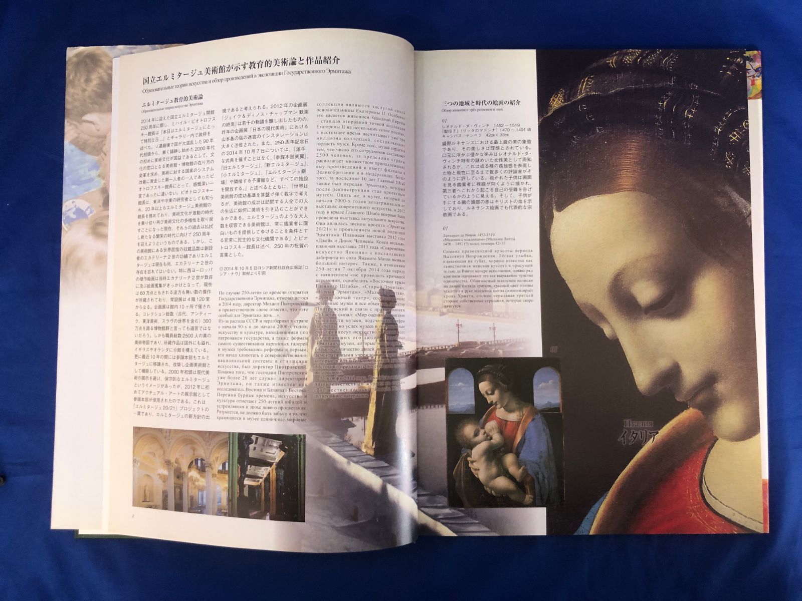 能登地震寄付　未使用　　ロシア　エルミタージュ美術館　2巻　大型本　英語 能登地震寄付 未使用 ロシア エルミタージュ美術館 2巻 大型本