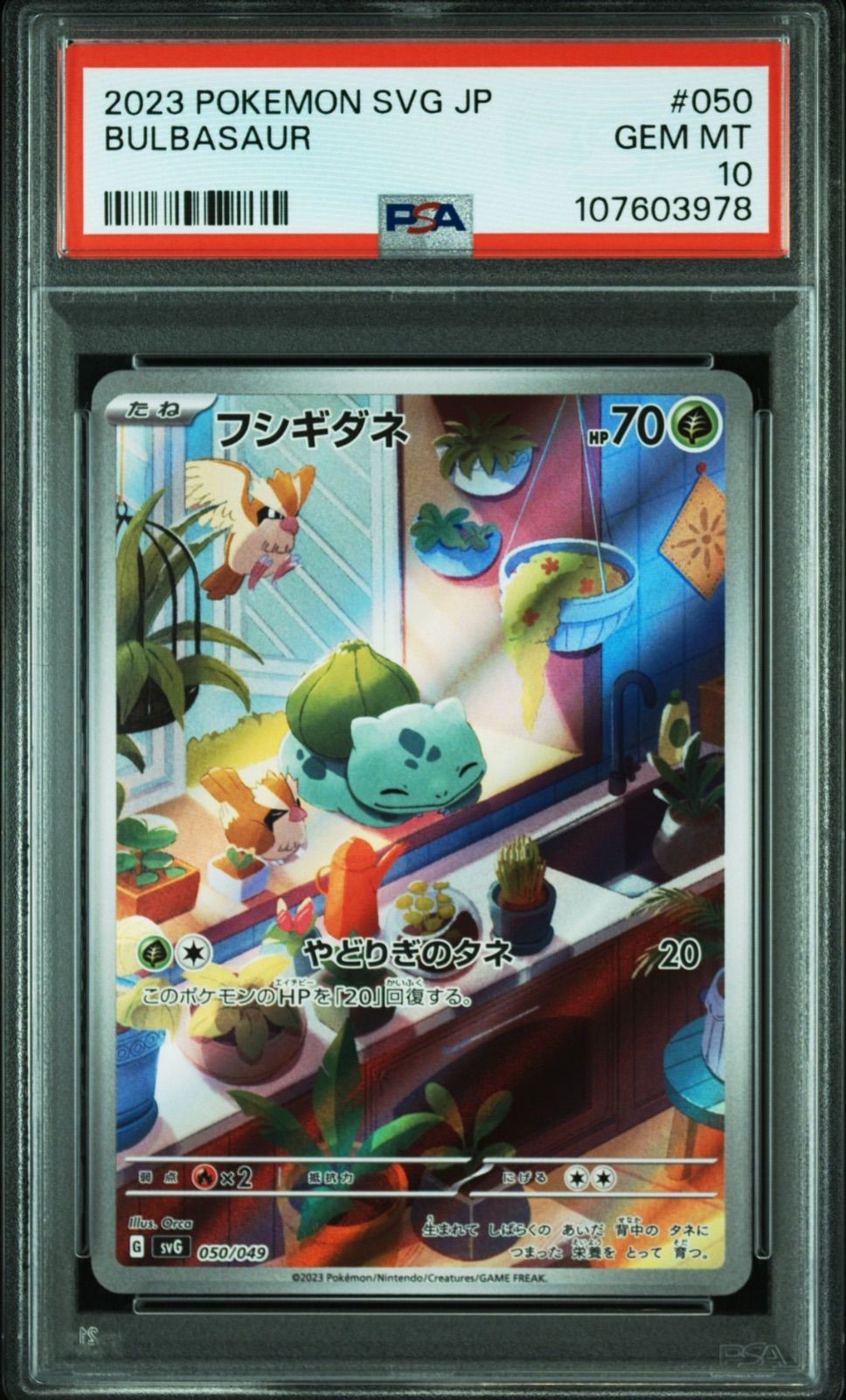 PSA10】 3連番 フシギダネ ヒトカゲ ゼニガメ AR スペシャル