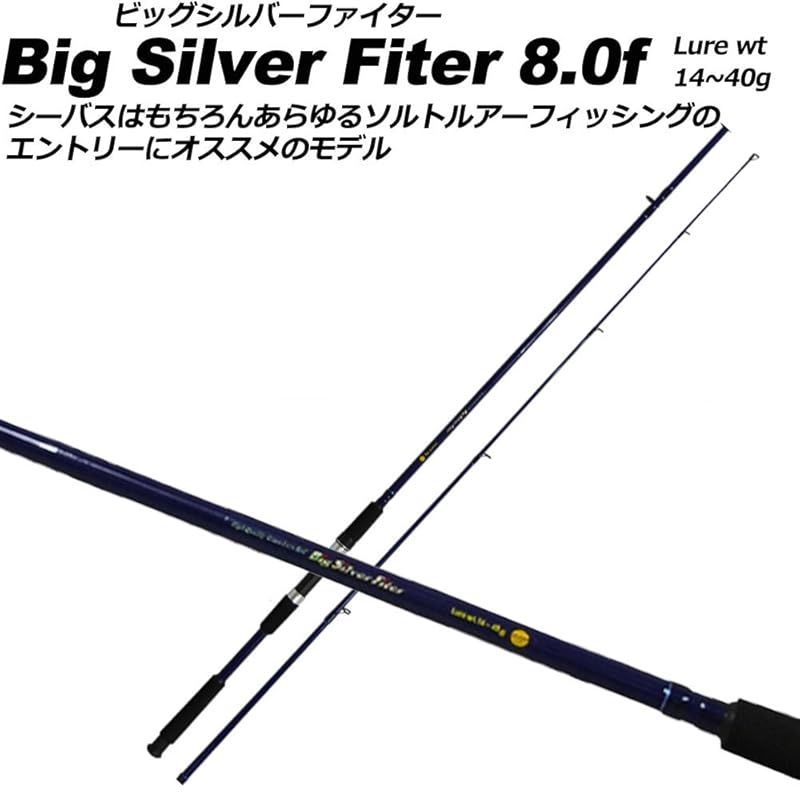 釣り場に直行 シーバス入門セット