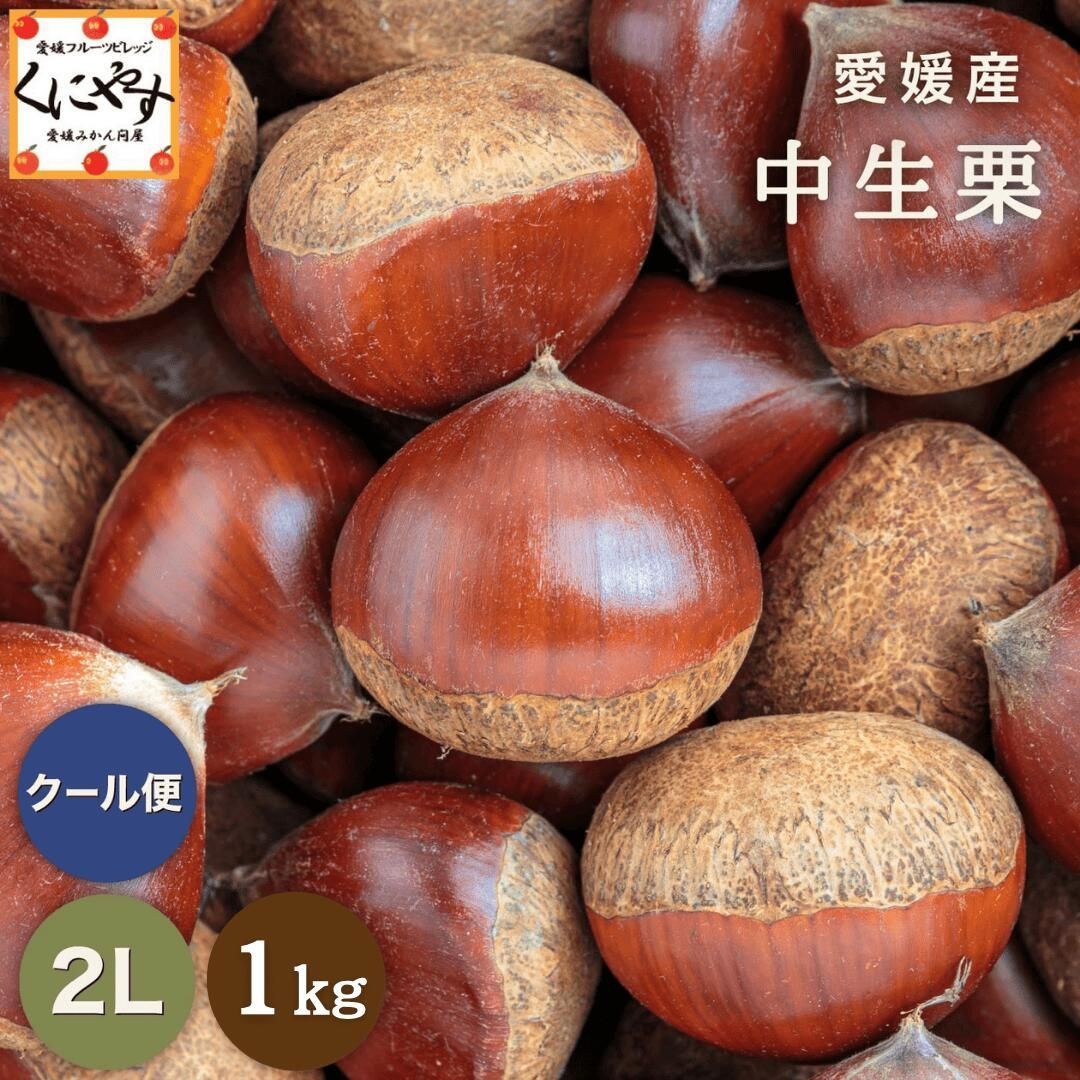 ★1つ1つ手選別した 旬の 栗 ★9月下旬~10月上旬発送予定【送料無料】【ギフト】【産地直送】【厳選品】愛媛産 中生栗 2Lサイズ 1キロ ...